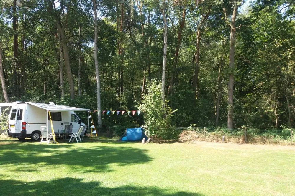 Minicamping de Hippe Kip