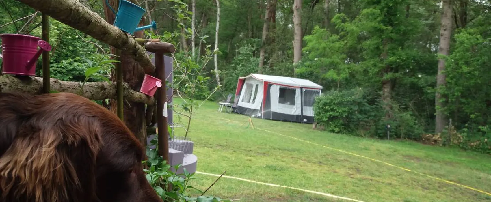 Minicamping de Hippe Kip