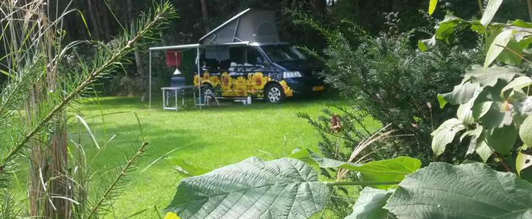 Minicamping de Hippe Kip