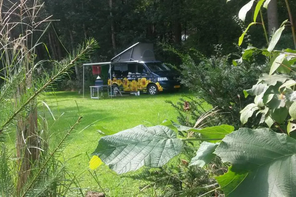 Minicamping de Hippe Kip