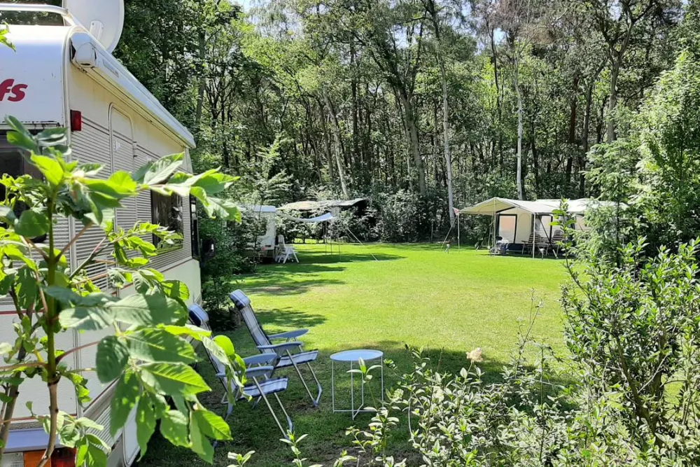 Minicamping de Hippe Kip