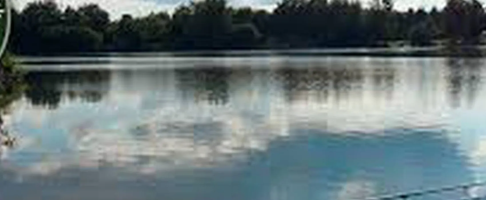 Minicamping de Hippe Kip