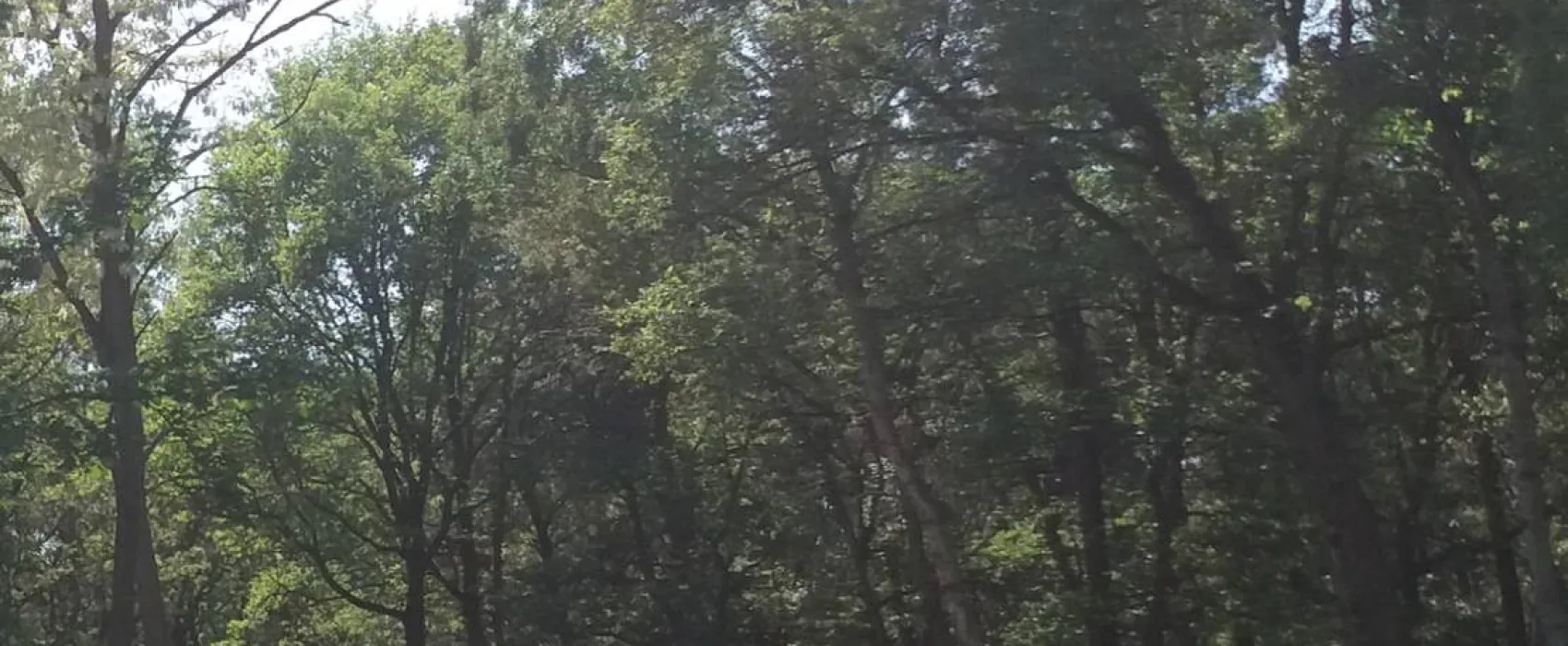 Minicamping de Hippe Kip