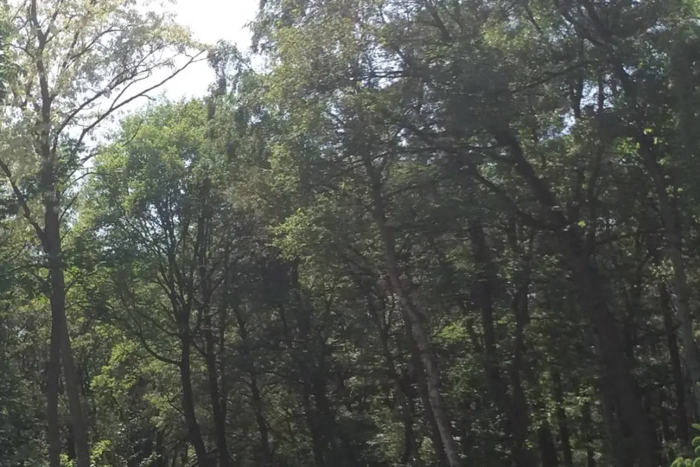 Minicamping de Hippe Kip