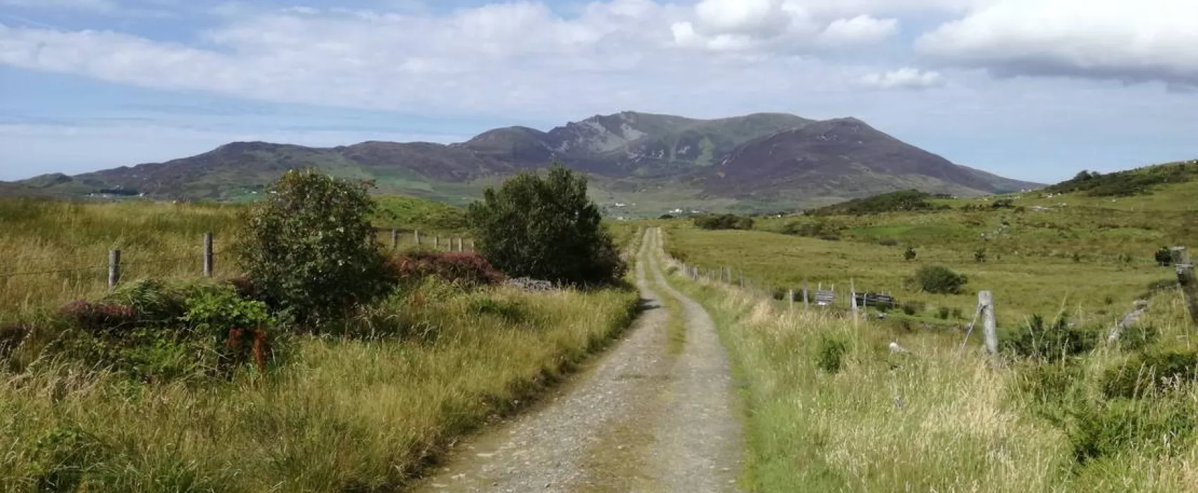 Derrylahan Hostel & Campsite