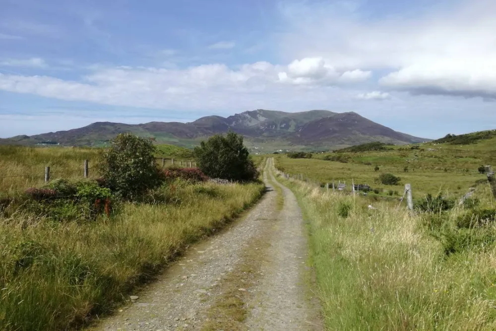 Derrylahan Hostel & Campsite