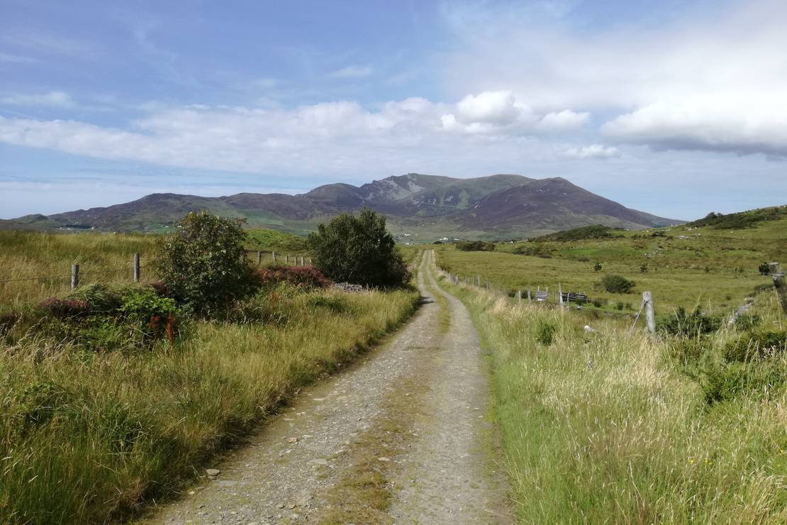 Derrylahan Hostel & Campsite photo 3