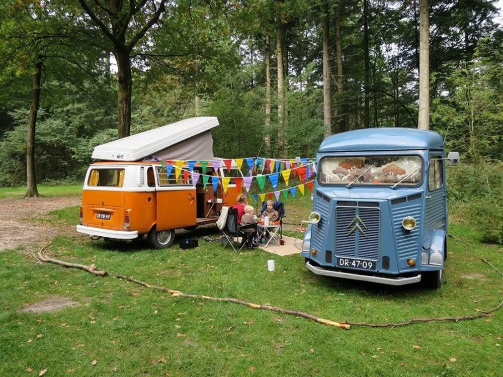 Blije Bus Retroweekend