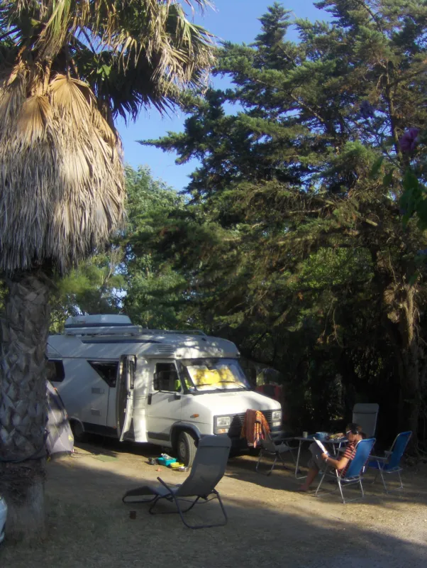 Municipal de la Plage