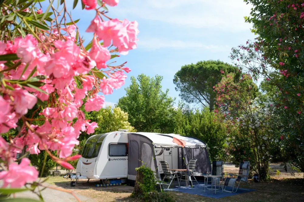 Les Pêcheurs (Glamping)