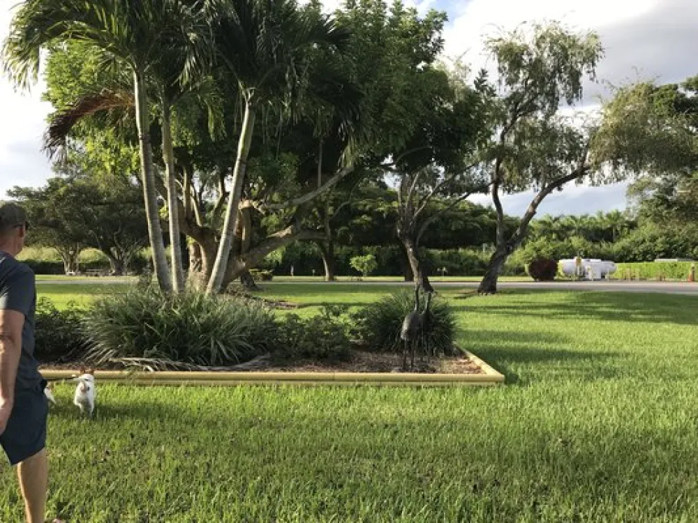 Miami Everglades Resort