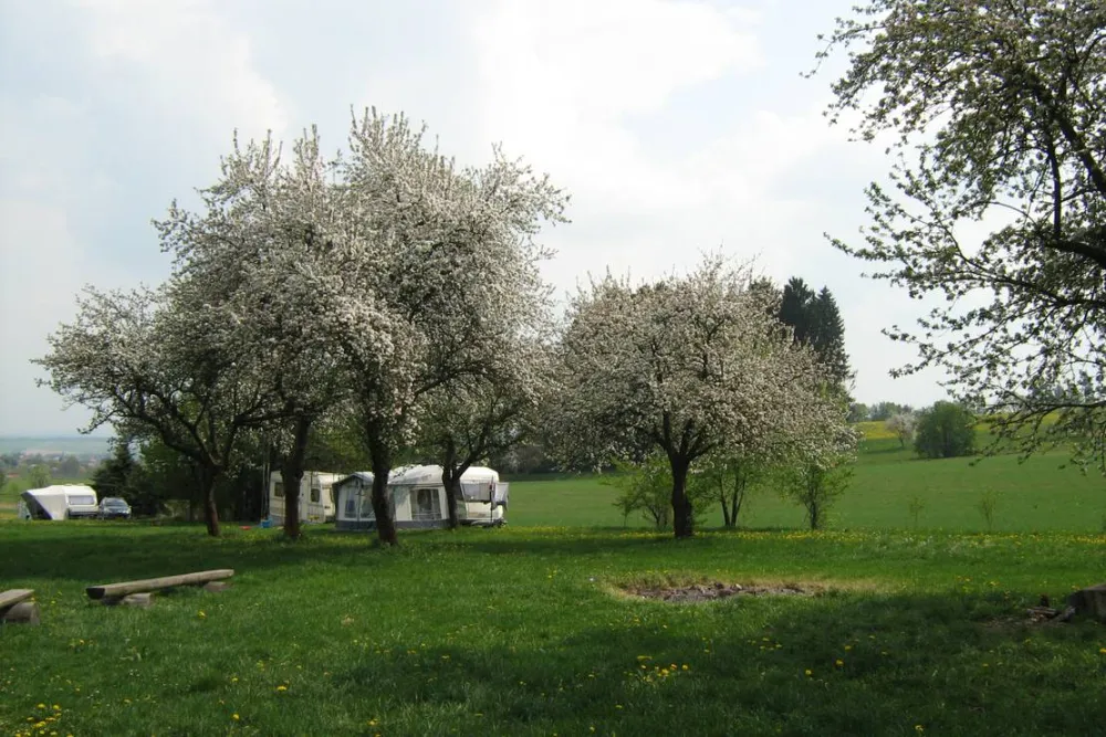 Camping Žebrakov