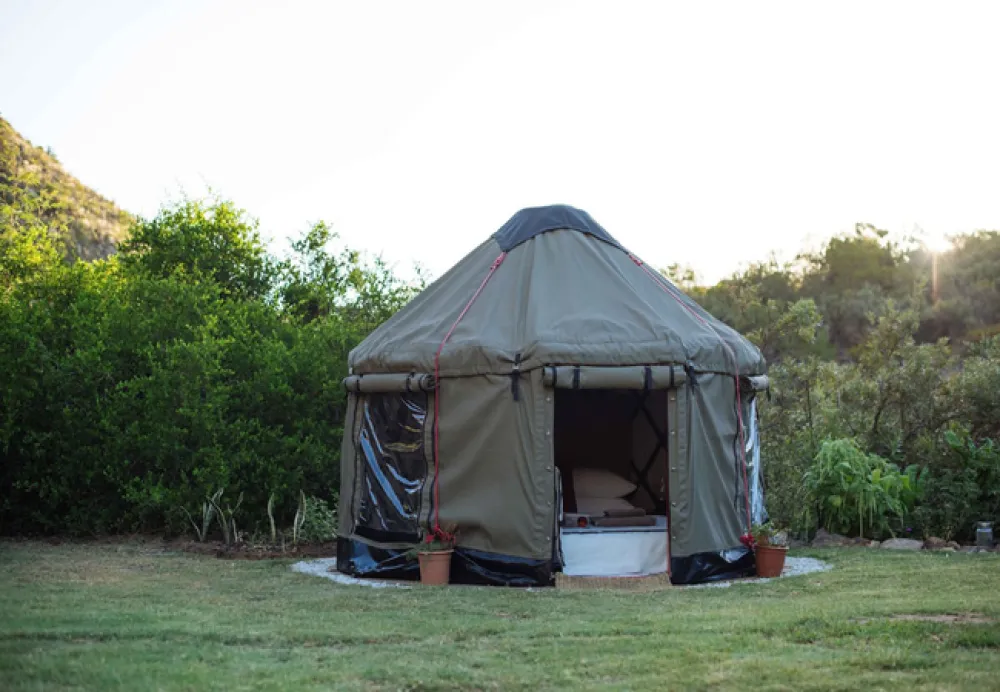 Malachite Yurt Camp