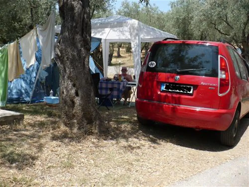 Campsite Hellas International