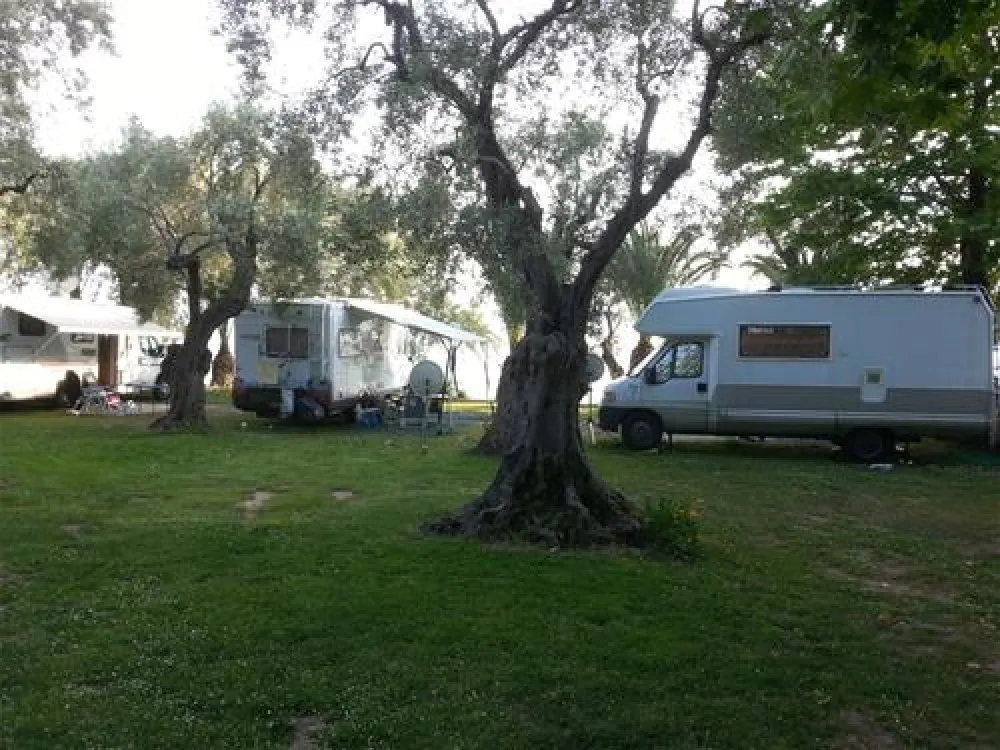 Campsite Hellas International