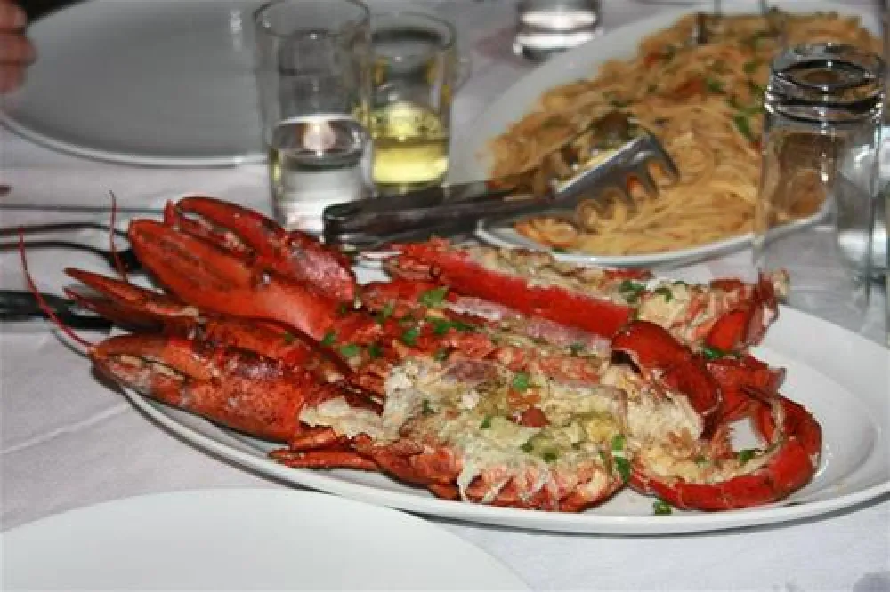 Campsite Hellas International