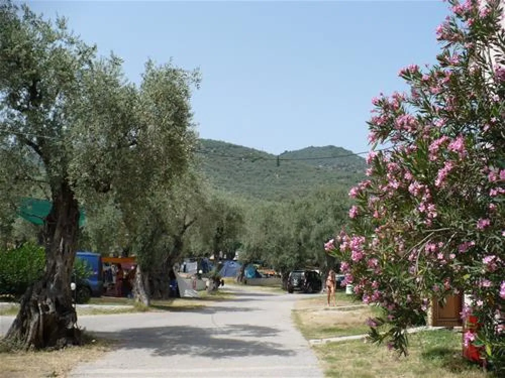 Campsite Hellas International