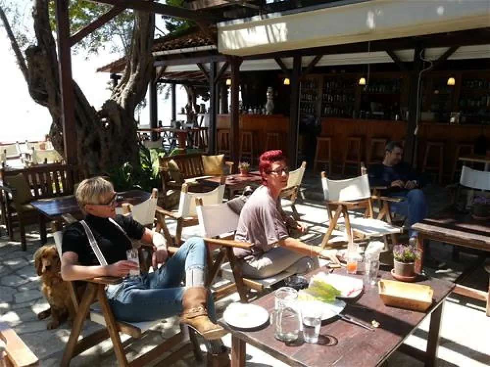 Campsite Hellas International