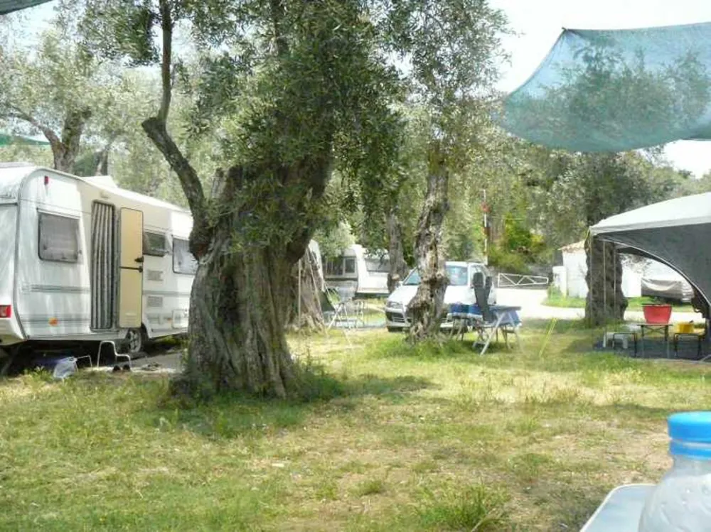 Campsite Hellas International