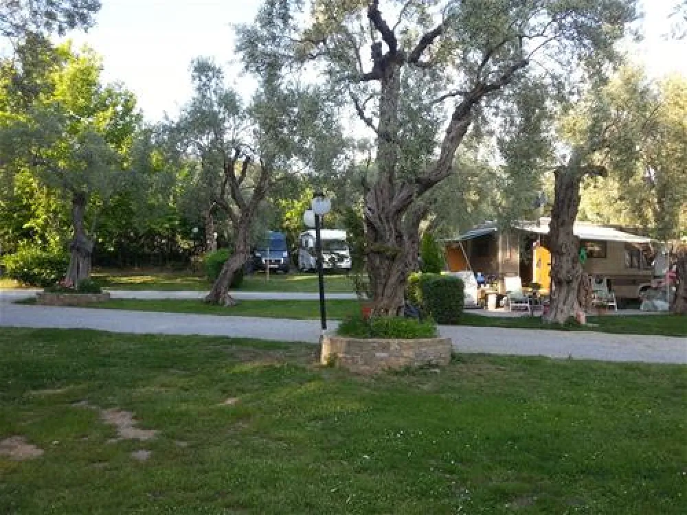 Campsite Hellas International