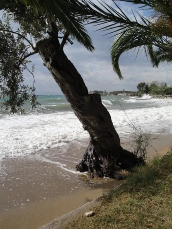 Campsite Hellas International