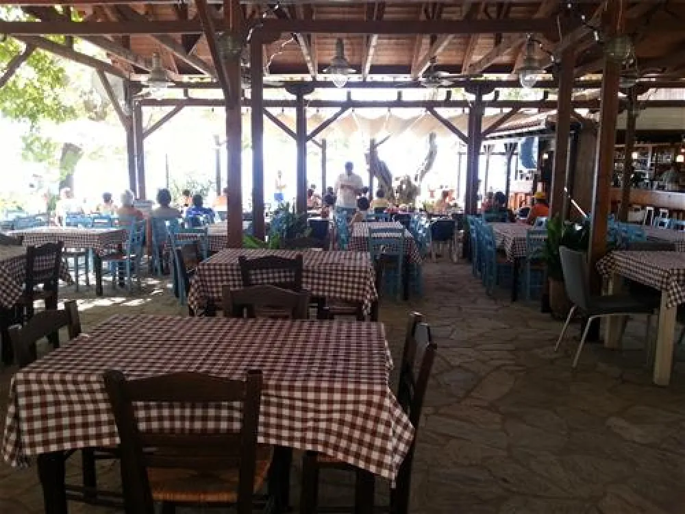 Campsite Hellas International