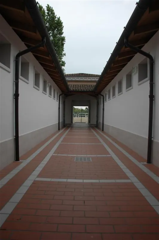 Camping Marina di Venezia