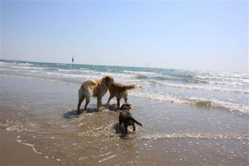 Camping Marina di Venezia