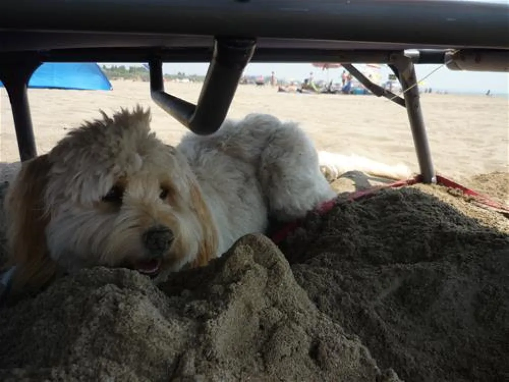 Camping Marina di Venezia