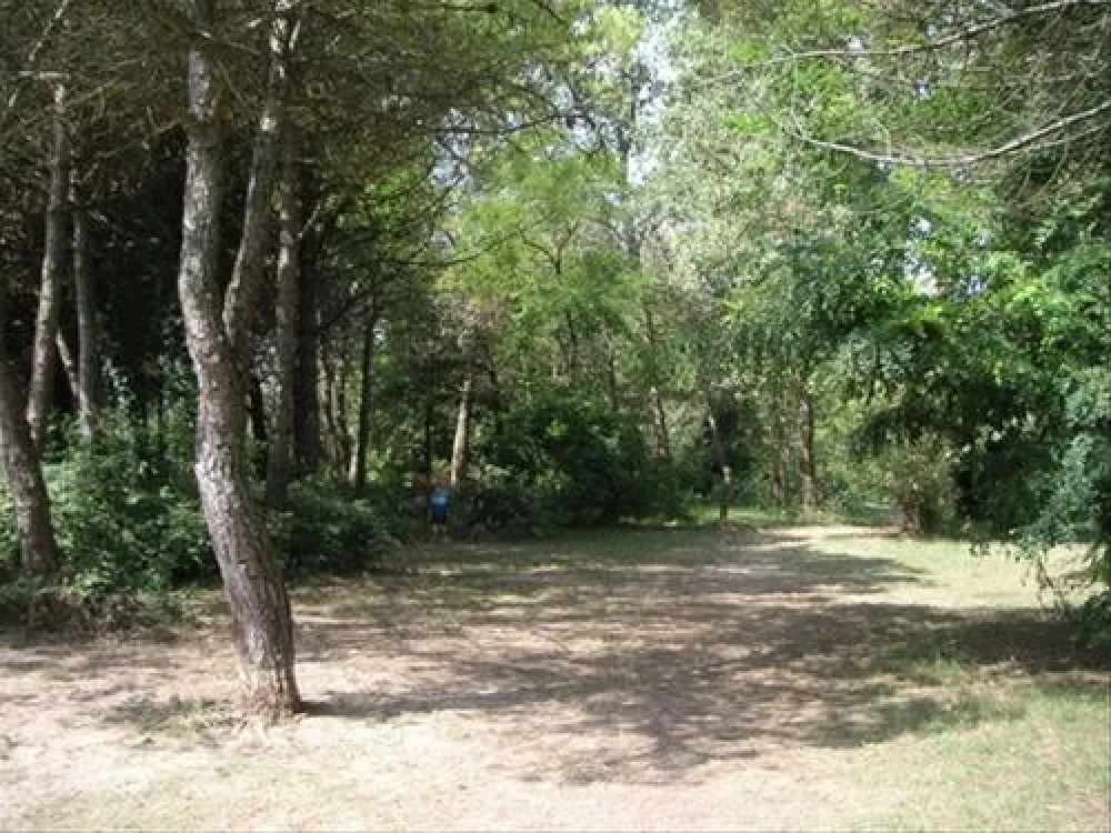 Camping Marina di Venezia