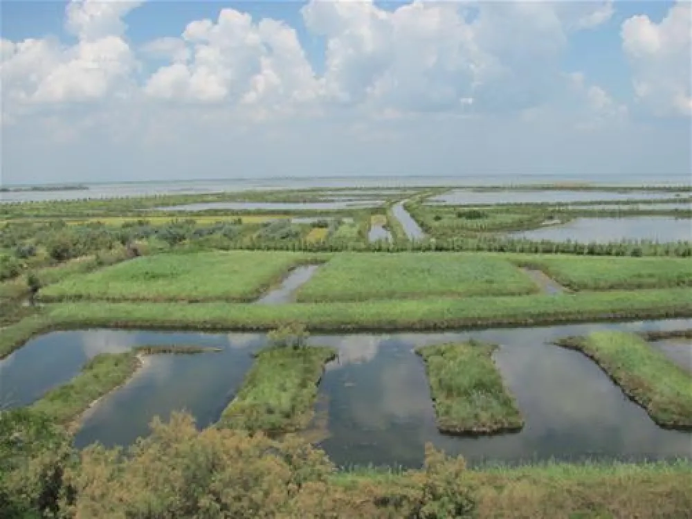 Camping Marina di Venezia