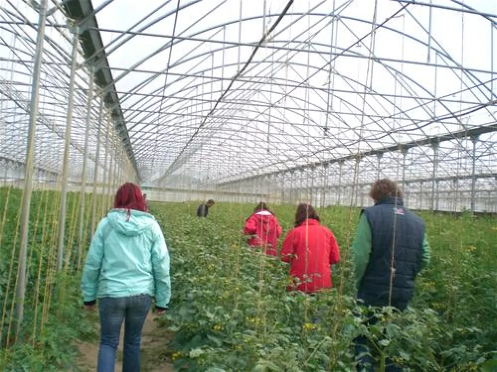 Camping Marina di Venezia