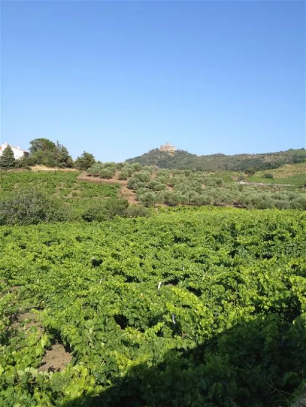 Castel Les Criques de Porteils