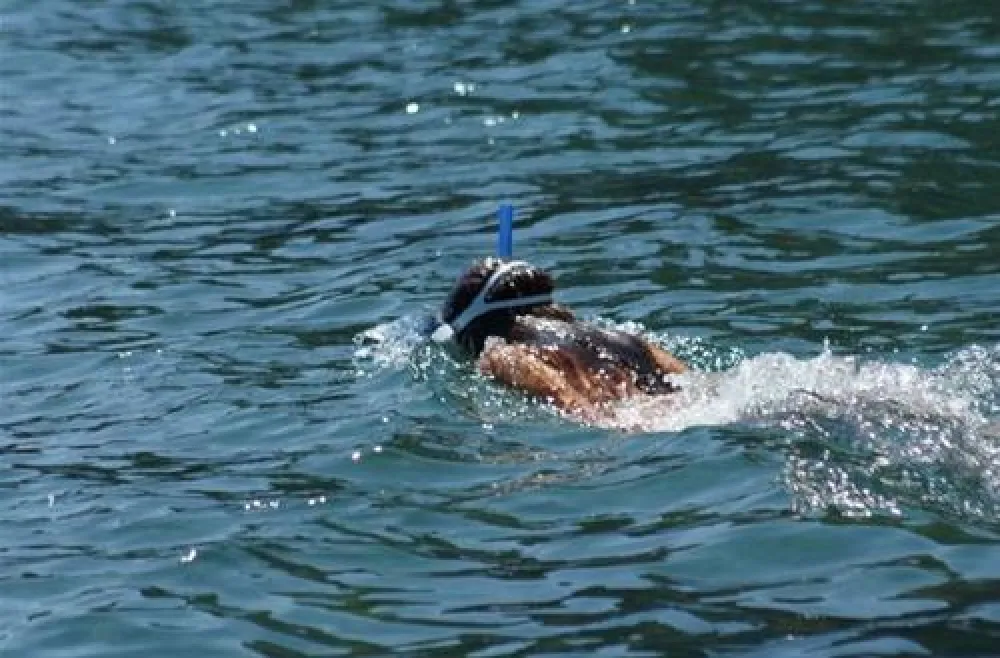 Castel Les Criques de Porteils