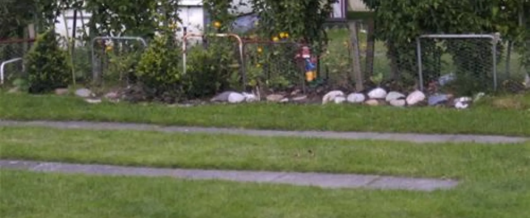 Camping Dorotheenthal ****