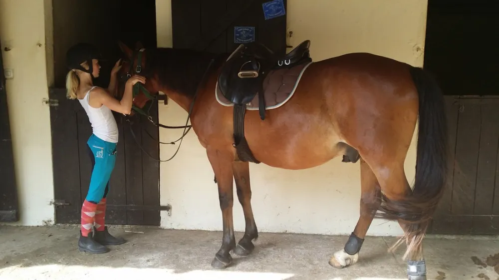 Camping Les tourterelles  