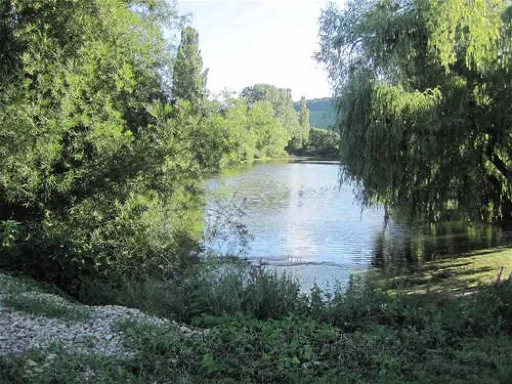 Campingplatz Escherndorf