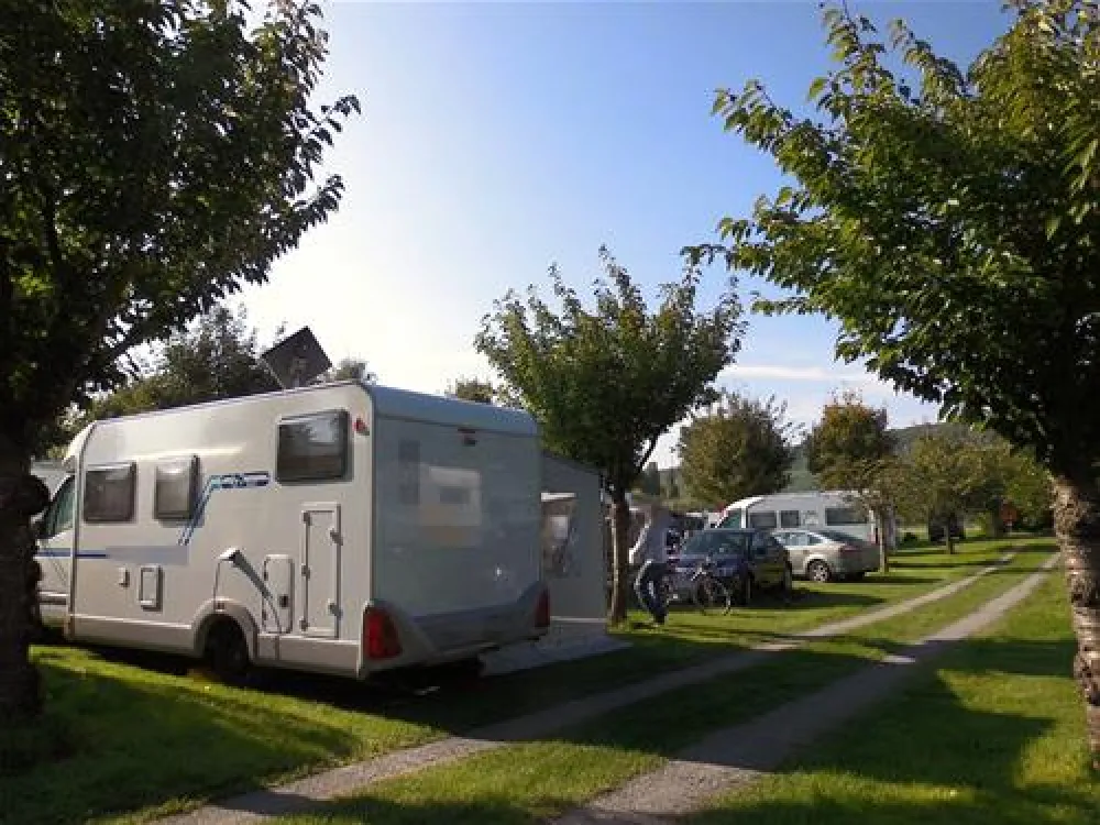 Campingplatz Escherndorf