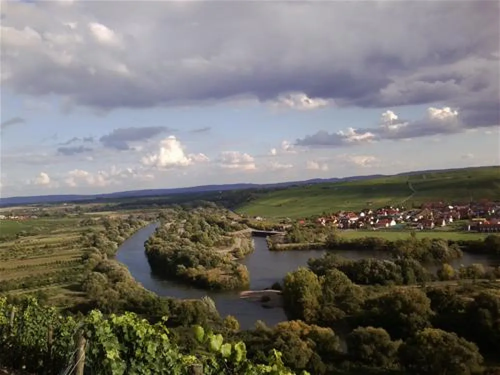 Campingplatz Escherndorf
