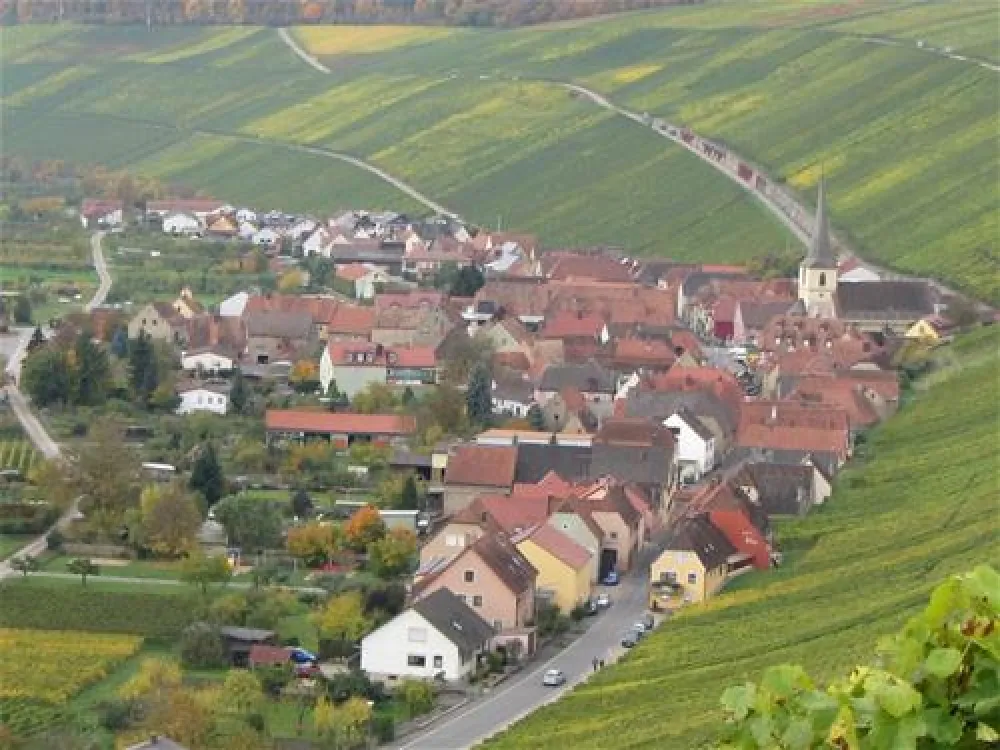 Campingplatz Escherndorf