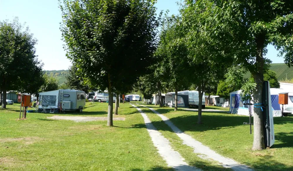 Campingplatz Escherndorf
