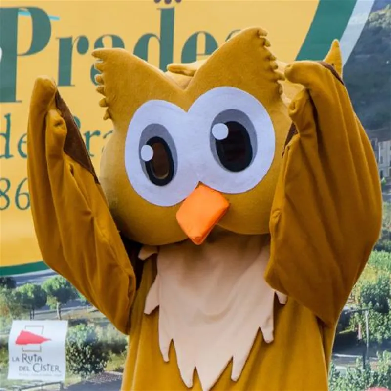 Camping Serra De Prades