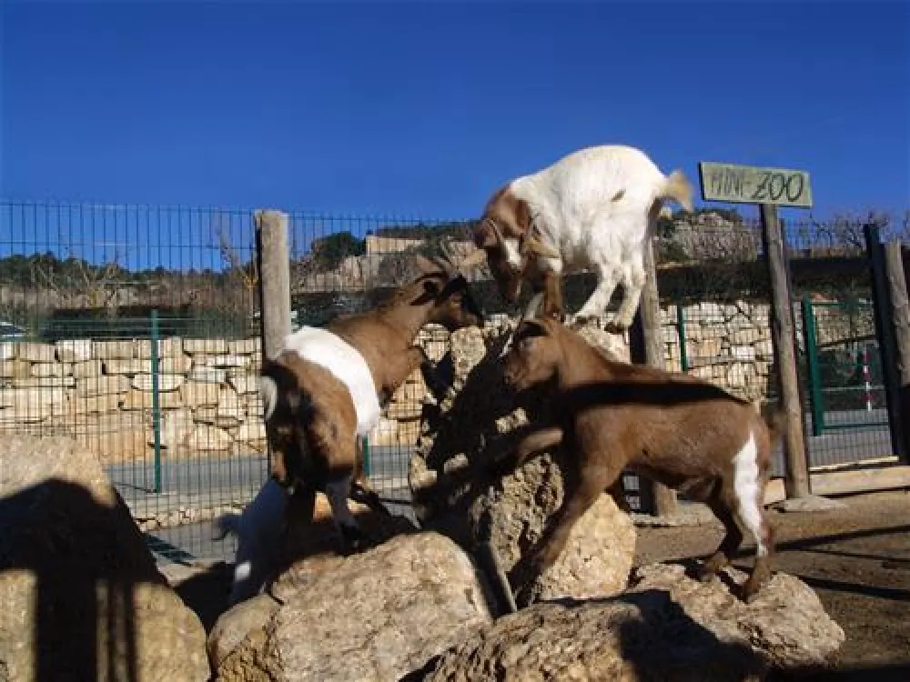 Camping Serra De Prades