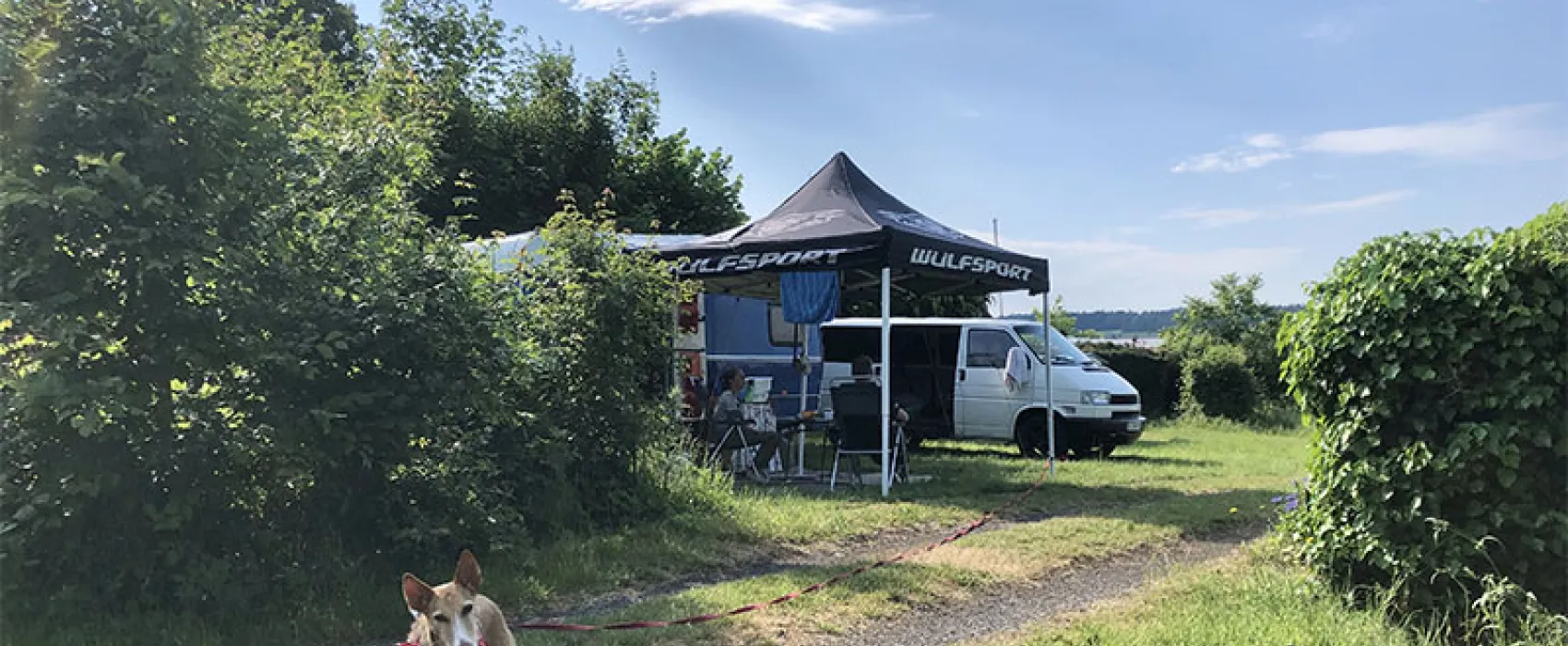 Campingplatz Gross-Eichen