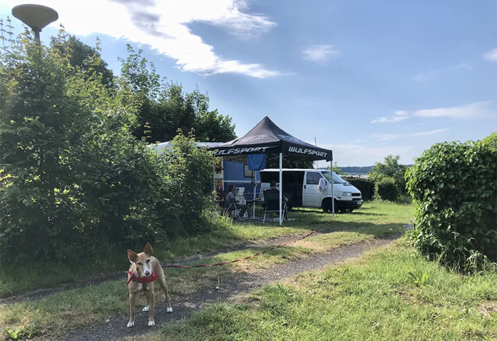 Campingplatz Gross-Eichen