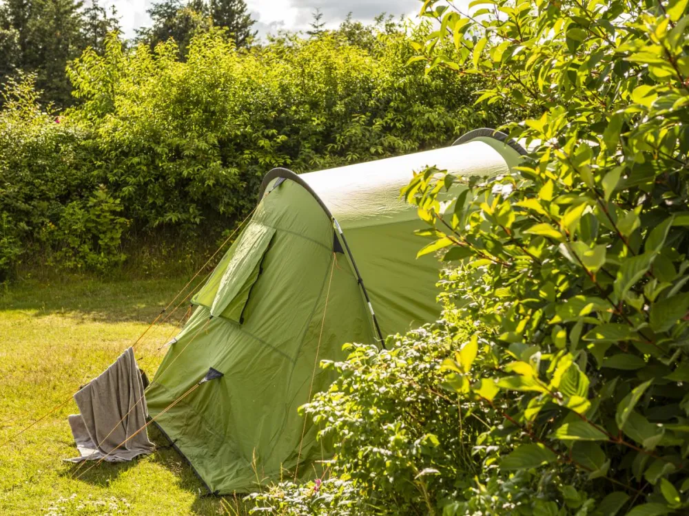 DCU Camping Hesselhus