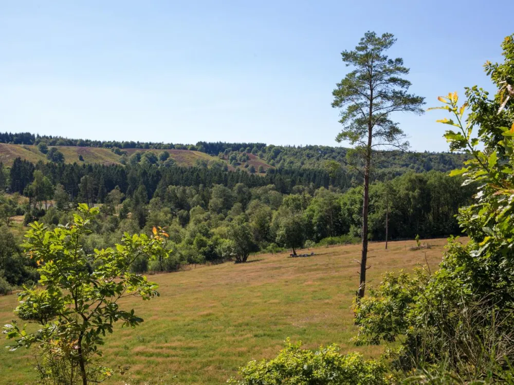 DCU Camping Hesselhus