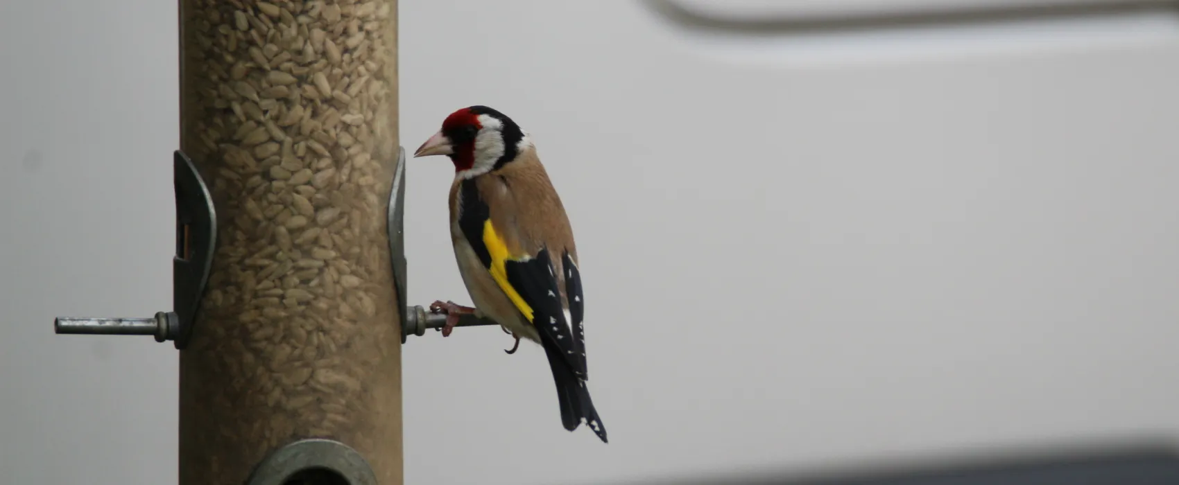 Greendale Farm Caravan and Camping Park