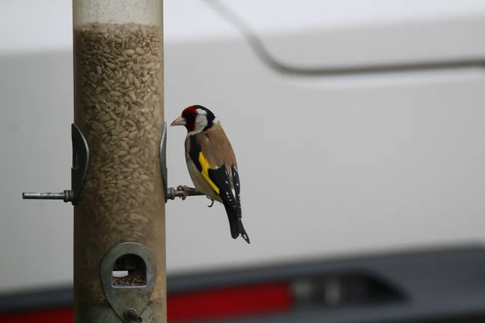 Greendale Farm Caravan and Camping Park