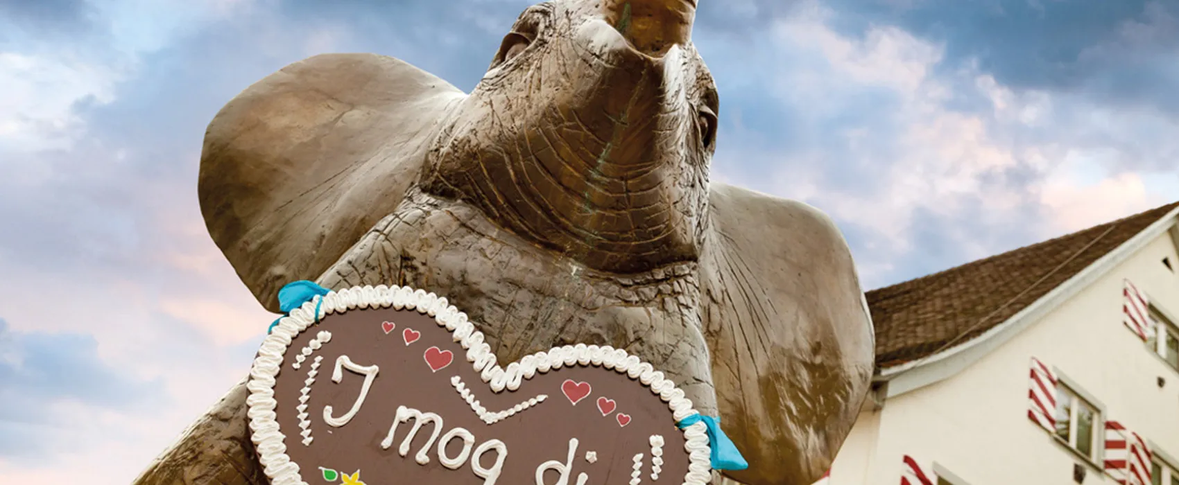 Campingpark Gitzenweiler Hof